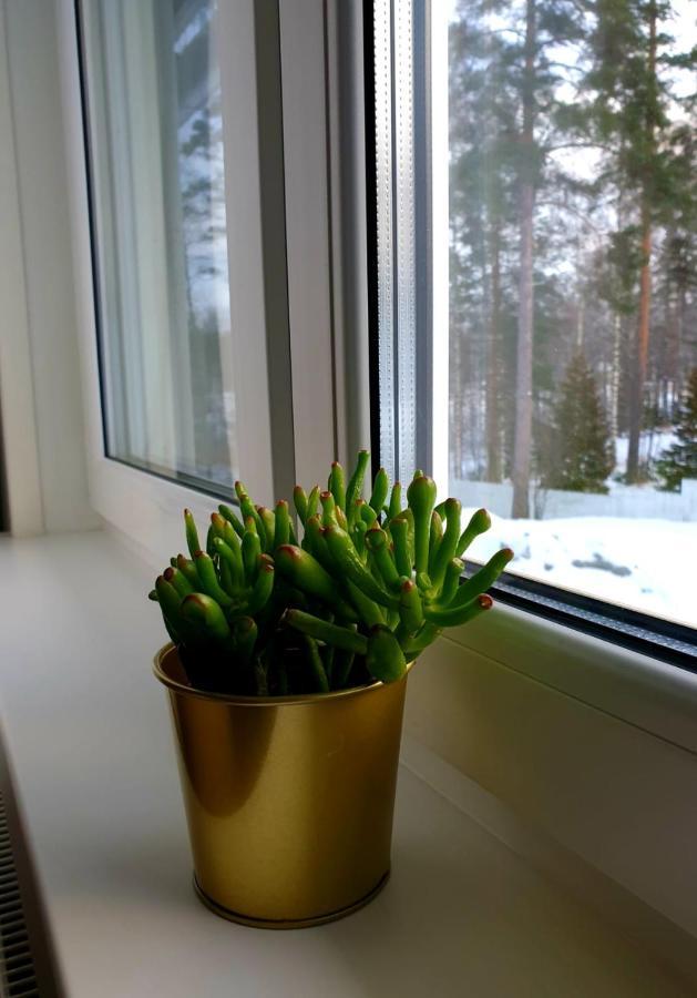 Resort Norppa *